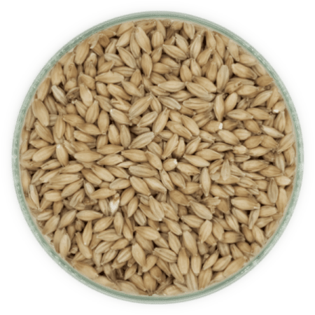 Malt Pale ale - 6 EBC - 5kg