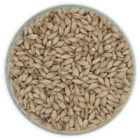 Malt Pilsen - 4 EBC - 5kg