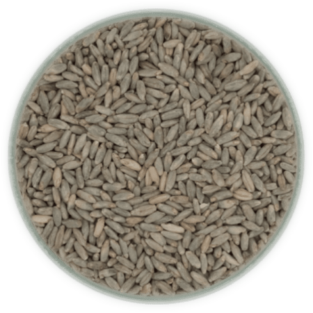 Malt de seigle - 8 EBC - 1kg