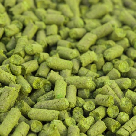 Houblon Idaho 7 Bio - 250g