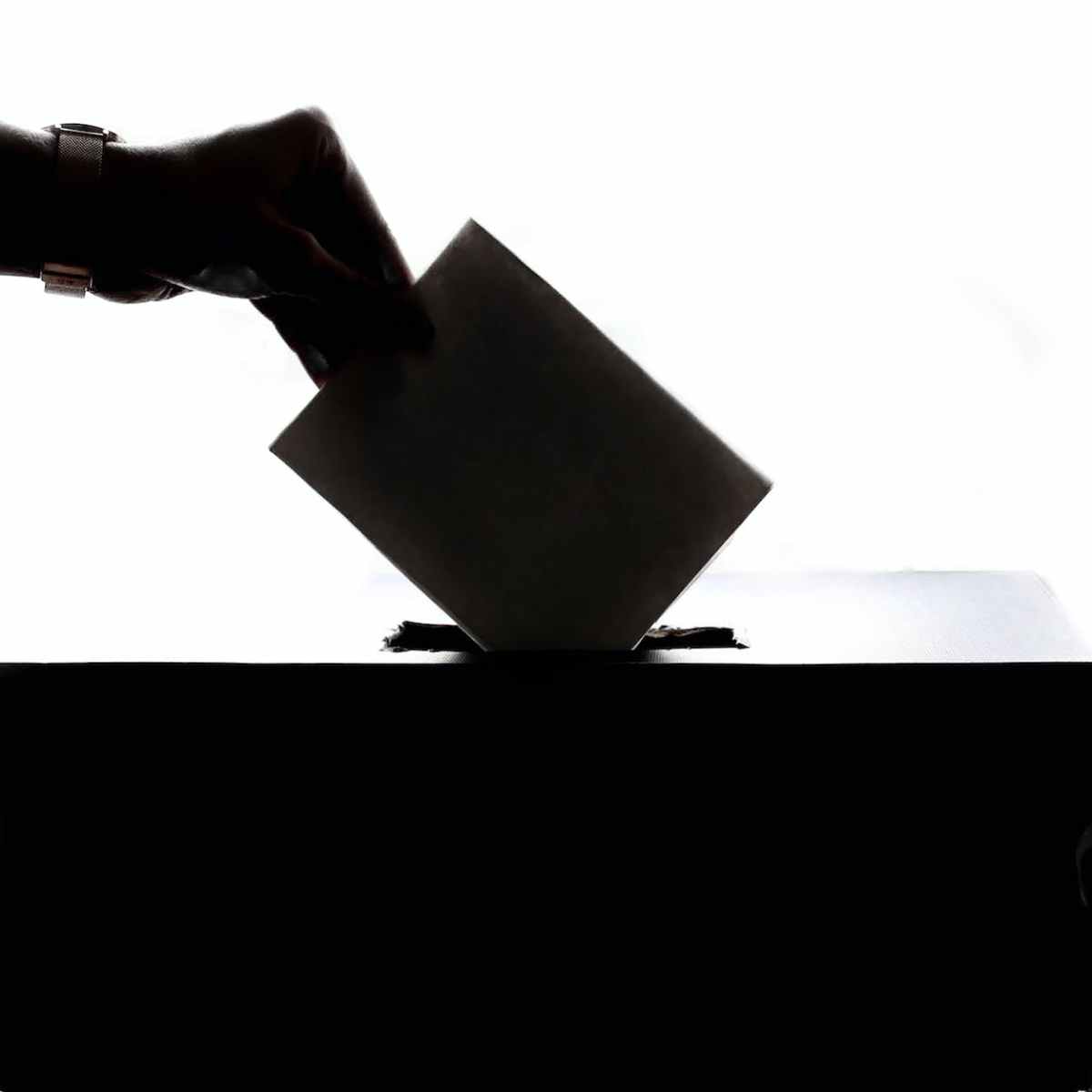 Sondage : offre spéciale adhérents