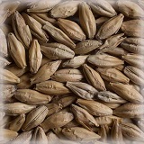 Malt Fumé - 5 EBC - 5kg